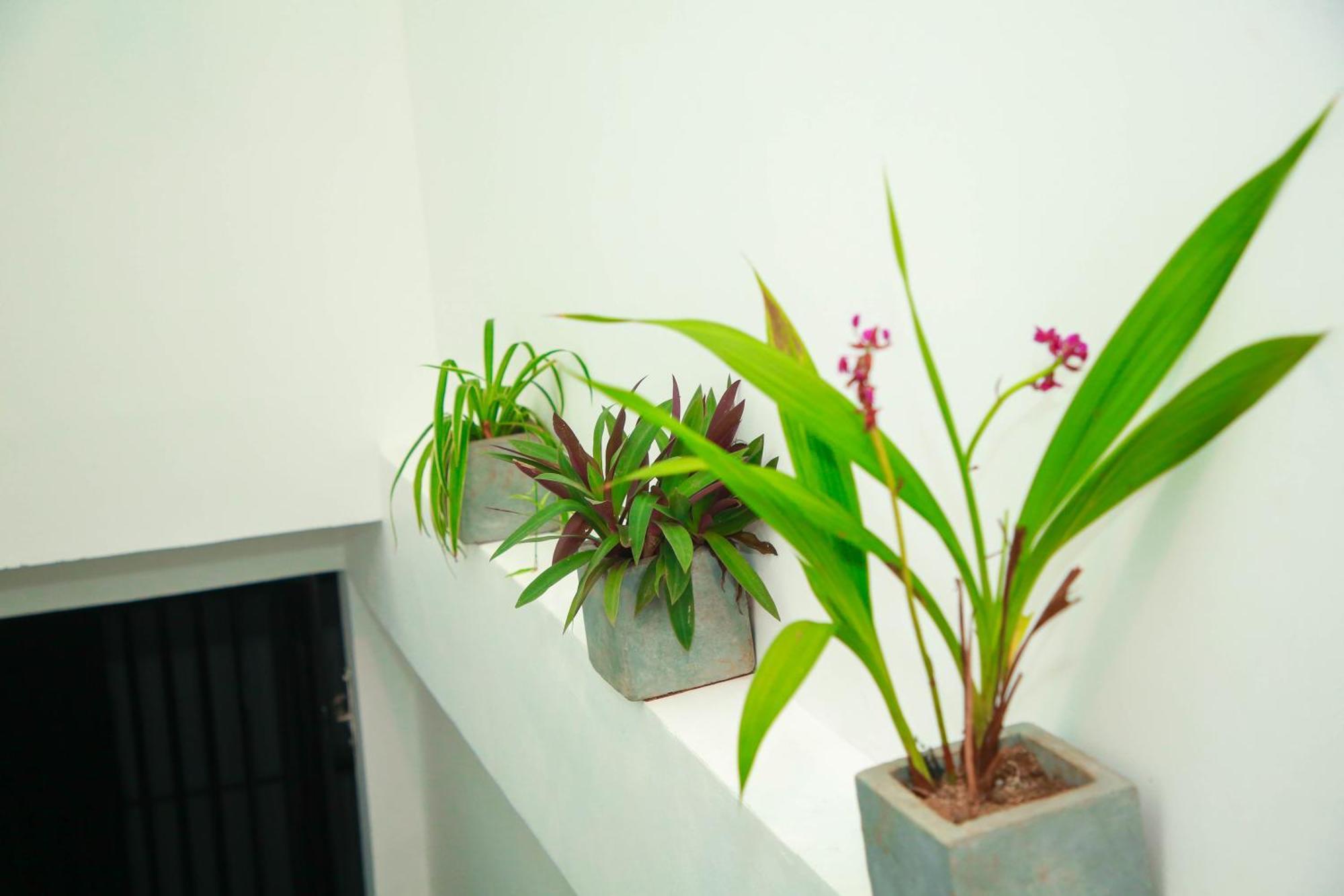 Samee Dream Guest Hotel Midigama Exterior photo
